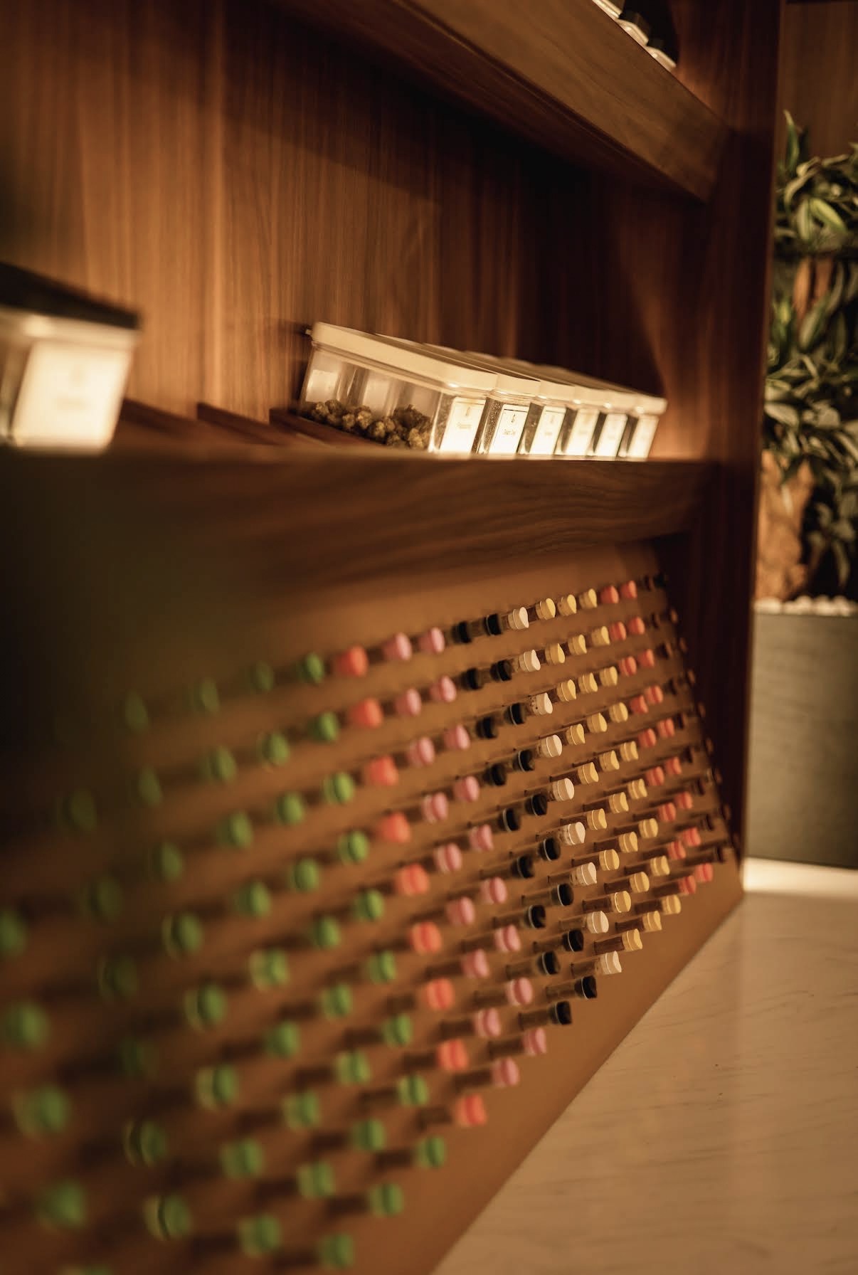 De Rode Leeuw Interieur